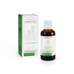 Györgytea Alkoholický extrakt - Pastička pastierska 50ml