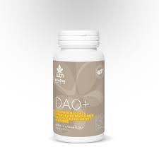 WTN DAO+ kapsuly 30ks